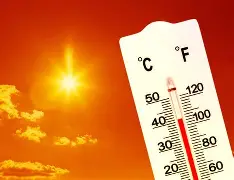 包含热传：恩比德球队席_山东的词条